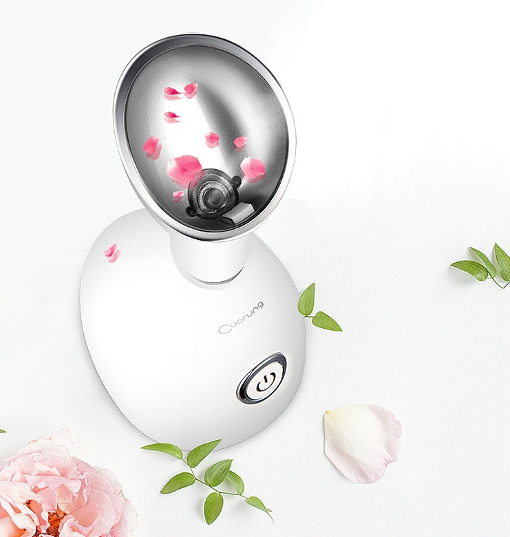 Facial Steamer Collection
