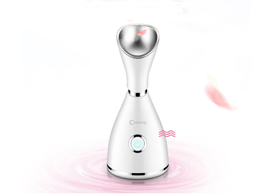 Facial Steamer Collection